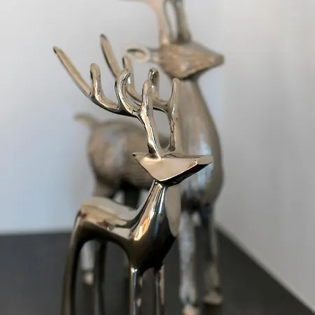 Wiesenhof - & Weitblick Ueber - Ladestation Fuer Elektroautos 公寓 因斯布鲁克