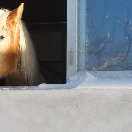 Wiesenhof - & Weitblick Ueber - Ladestation Fuer Elektroautos 公寓