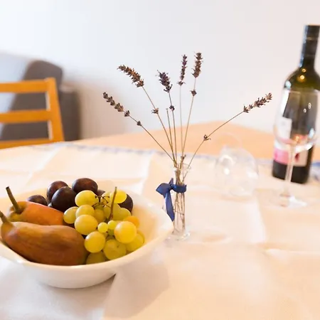 公寓 Wiesenhof - & Weitblick Ueber - Ladestation Fuer Elektroautos 因斯布鲁克