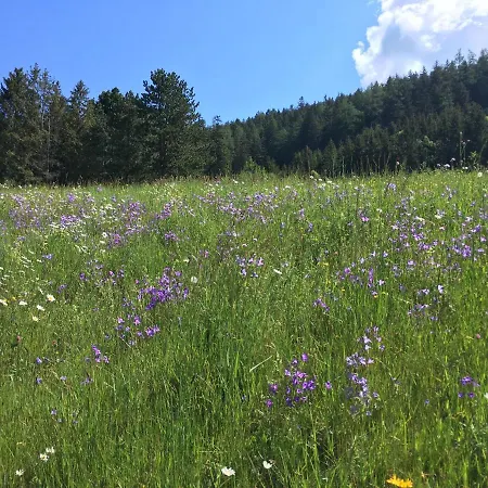 Wiesenhof - & Weitblick Ueber - Ladestation Fuer Elektroautos *