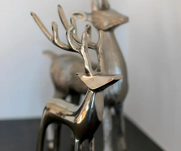 Wiesenhof - & Weitblick Ueber - Ladestation Fuer Elektroautos 公寓 因斯布鲁克