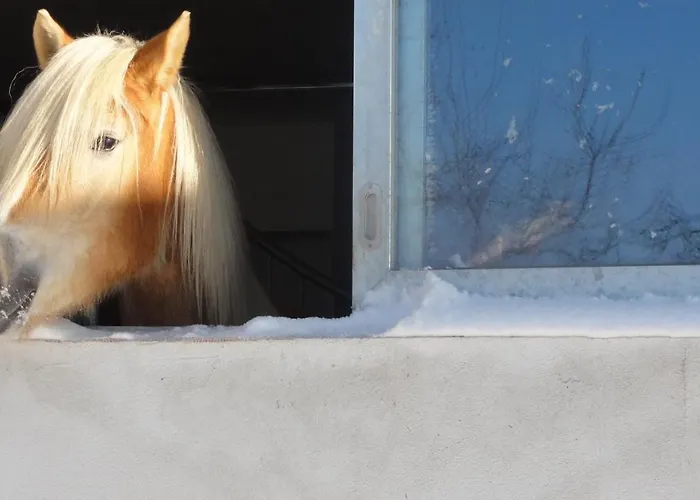 Wiesenhof - & Weitblick Ueber - Ladestation Fuer Elektroautos 公寓