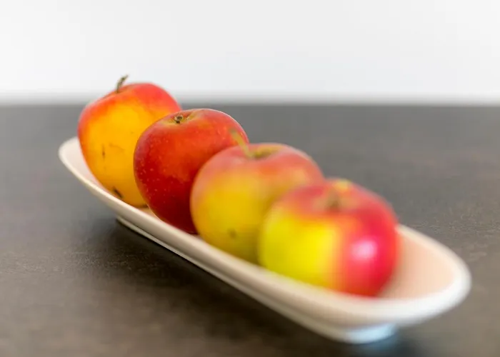 Wiesenhof - & Weitblick Ueber - Ladestation Fuer Elektroautos * Innsbruck