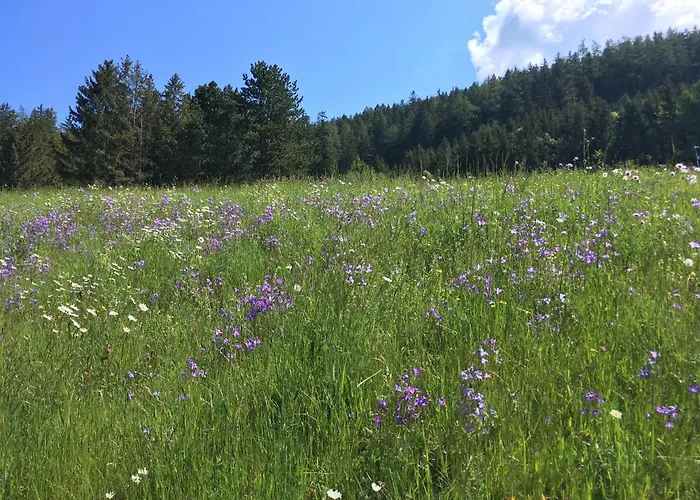 Wiesenhof - & Weitblick Ueber - Ladestation Fuer Elektroautos *