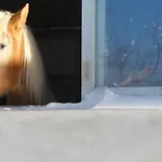 Wiesenhof - & Weitblick Ueber - Ladestation Fuer Elektroautos Lägenhet