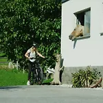 Wiesenhof - & Weitblick Ueber - Ladestation Fuer Elektroautos *