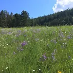 Wiesenhof - & Weitblick Ueber - Ladestation Fuer Elektroautos *