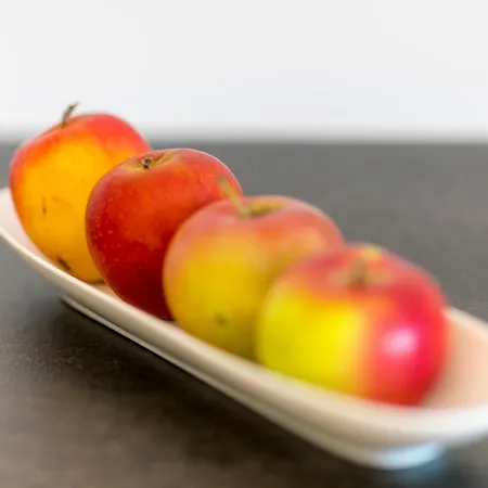 Wiesenhof - & Weitblick Ueber - Ladestation Fuer Elektroautos * Innsbruck